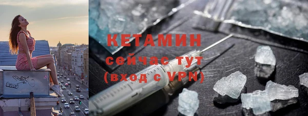 прущие грибы Балабаново