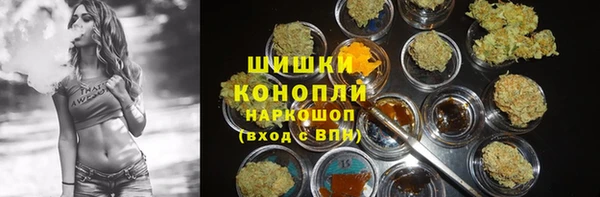 шишки Балахна