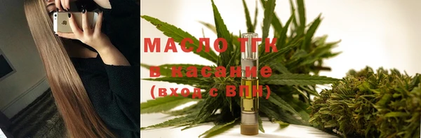 индика Баксан
