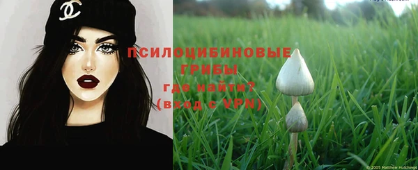 шишки Балахна