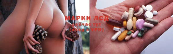 прущие грибы Балабаново