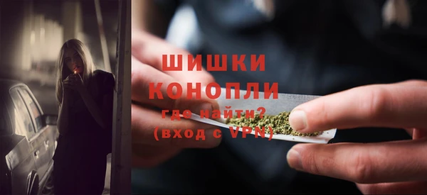 шишки Балахна