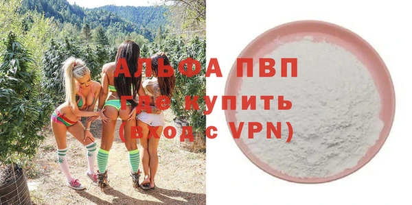 прущие грибы Балабаново
