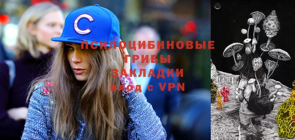 прущие грибы Балабаново
