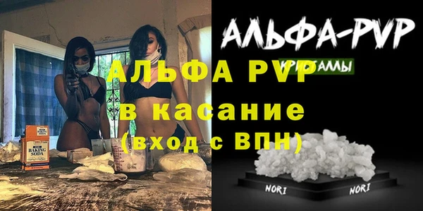 индика Баксан
