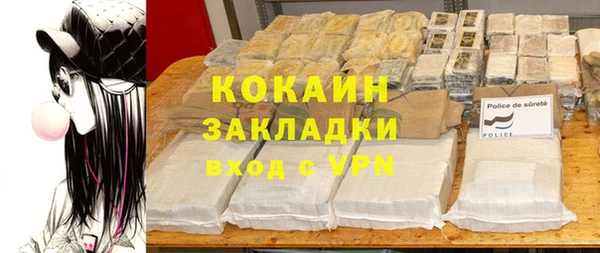 прущие грибы Балабаново