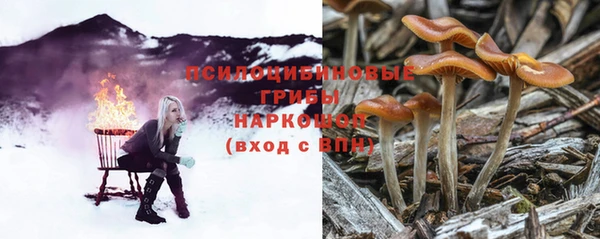 шишки Балахна