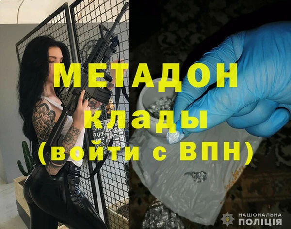 прущие грибы Балабаново