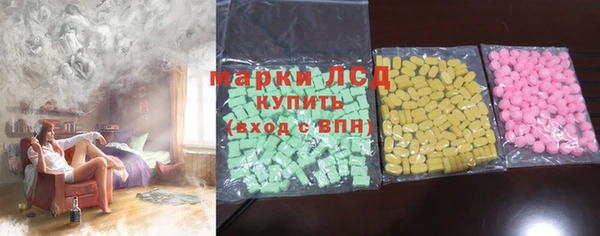 индика Баксан