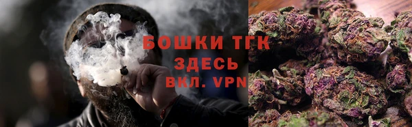 индика Баксан